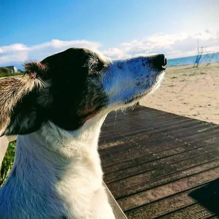 Апартаменты Suedkap_pelzerhaken Whg_ C_04